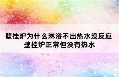 壁挂炉为什么淋浴不出热水没反应 壁挂炉正常但没有热水